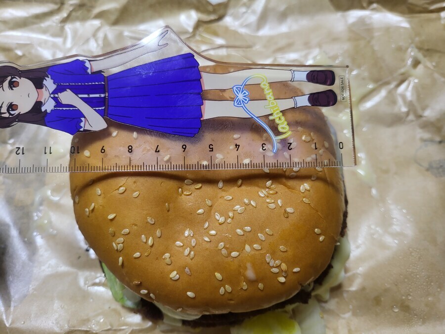 버거킹 와퍼는 리뉴얼 하면서 작아진 건 아니래_1.jpg