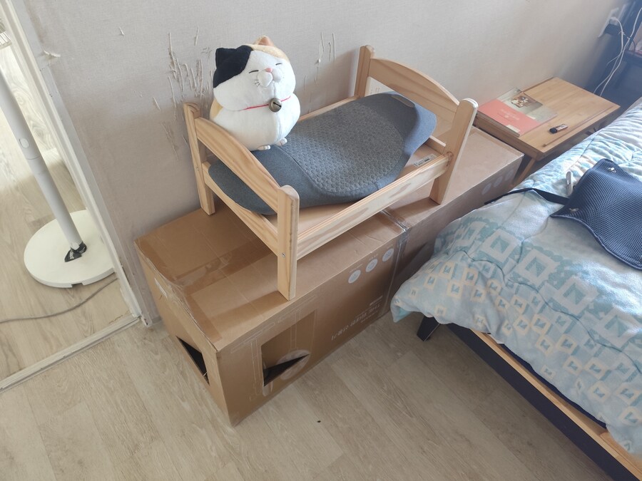 박스로 고양이 집을 확장해주고 집들이 갔습니다._1.jpg