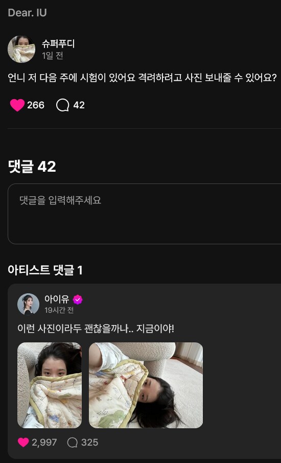 소파 밑에 누워있는 아이유 이불 정보_6.png