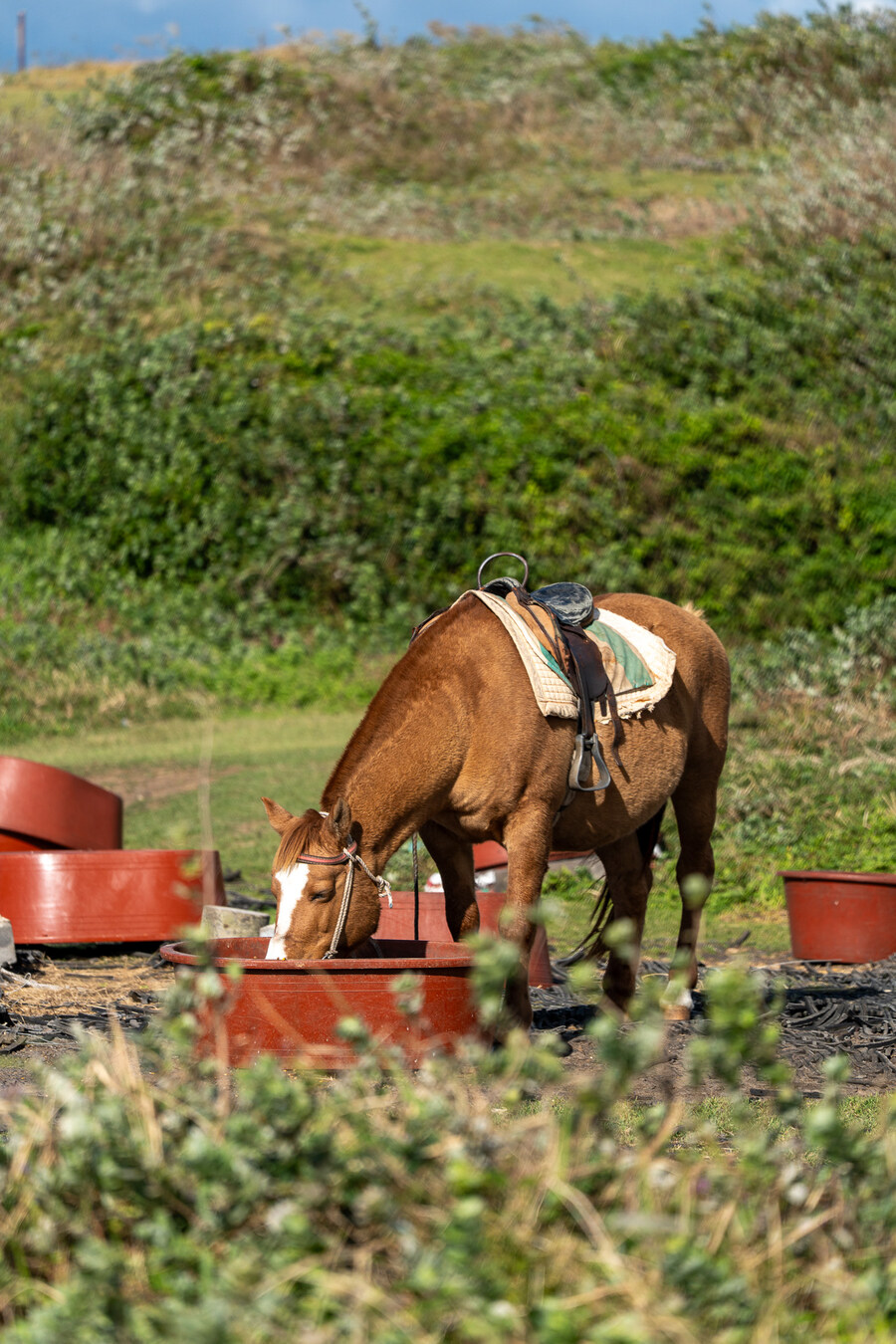 (스압)제주도 댕겨왓습니당_20.jpg