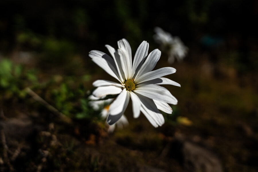 (스압)제주도 댕겨왓습니당_22.jpg