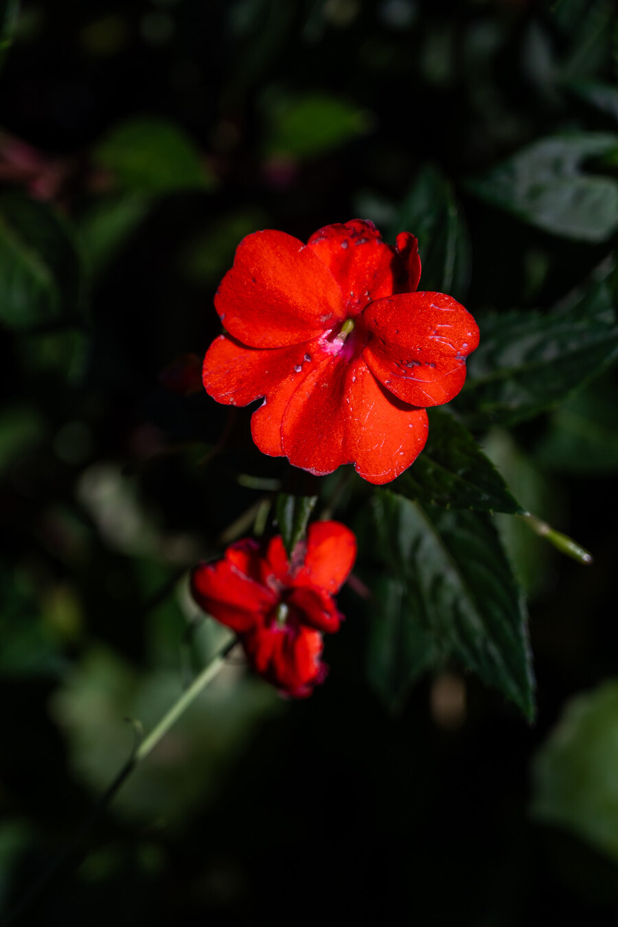 (스압)제주도 댕겨왓습니당_24.jpg