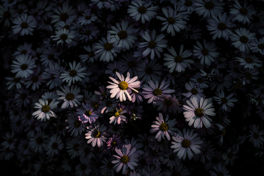 (스압)제주도 댕겨왓습니당_25.jpg