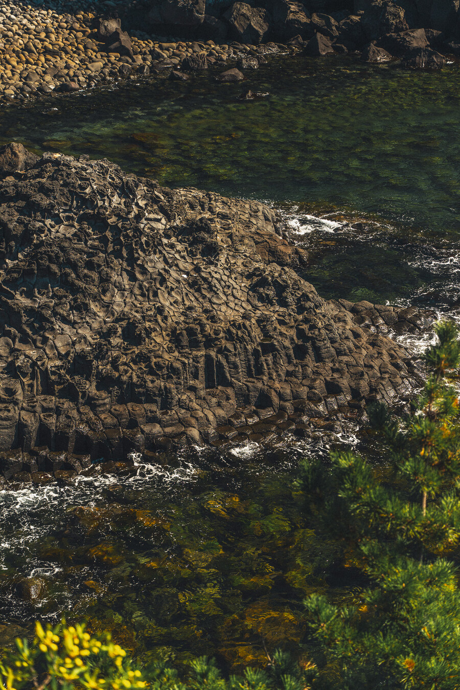 (스압)제주도 댕겨왓습니당_67.jpg