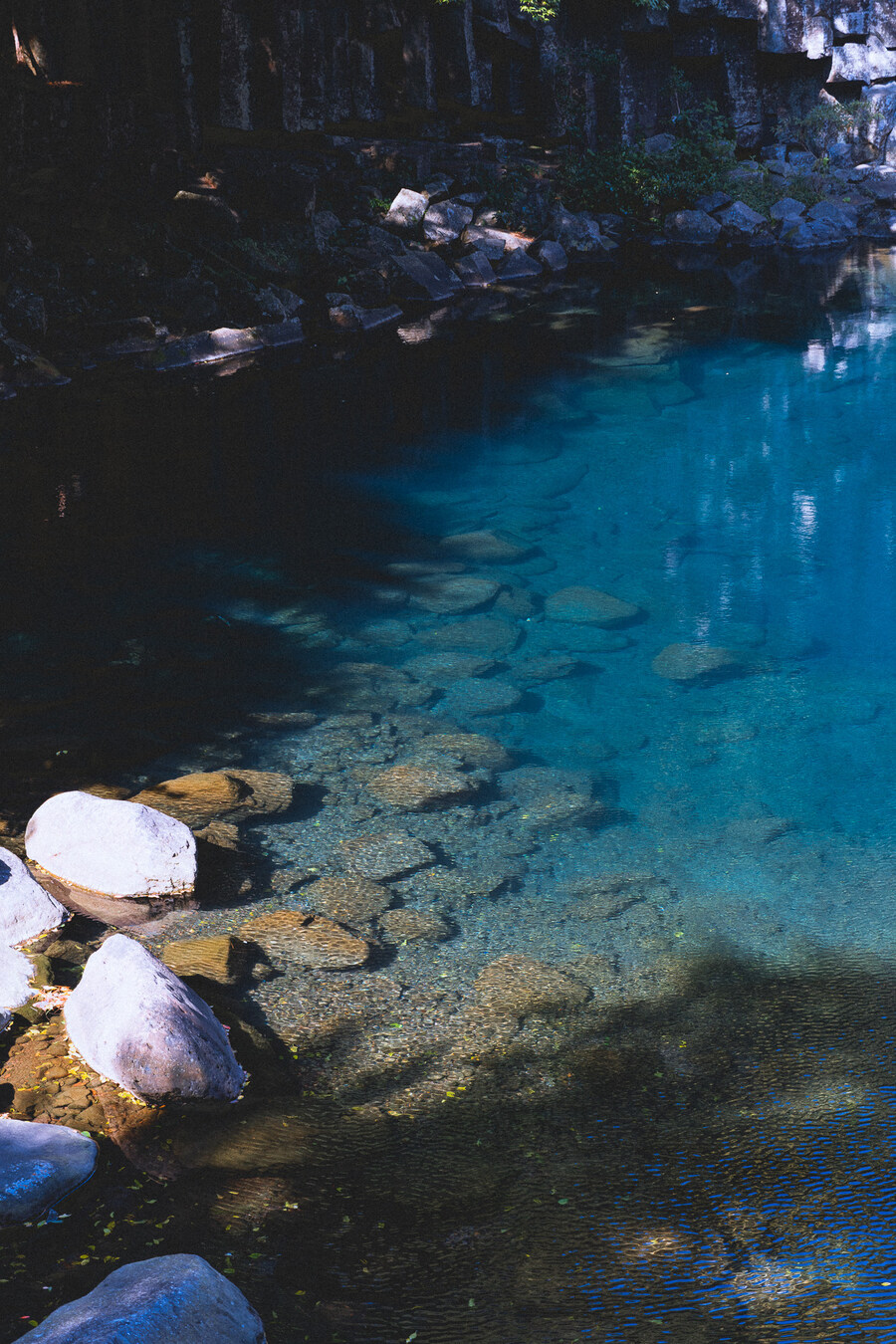 (스압)제주도 댕겨왓습니당_85.jpg