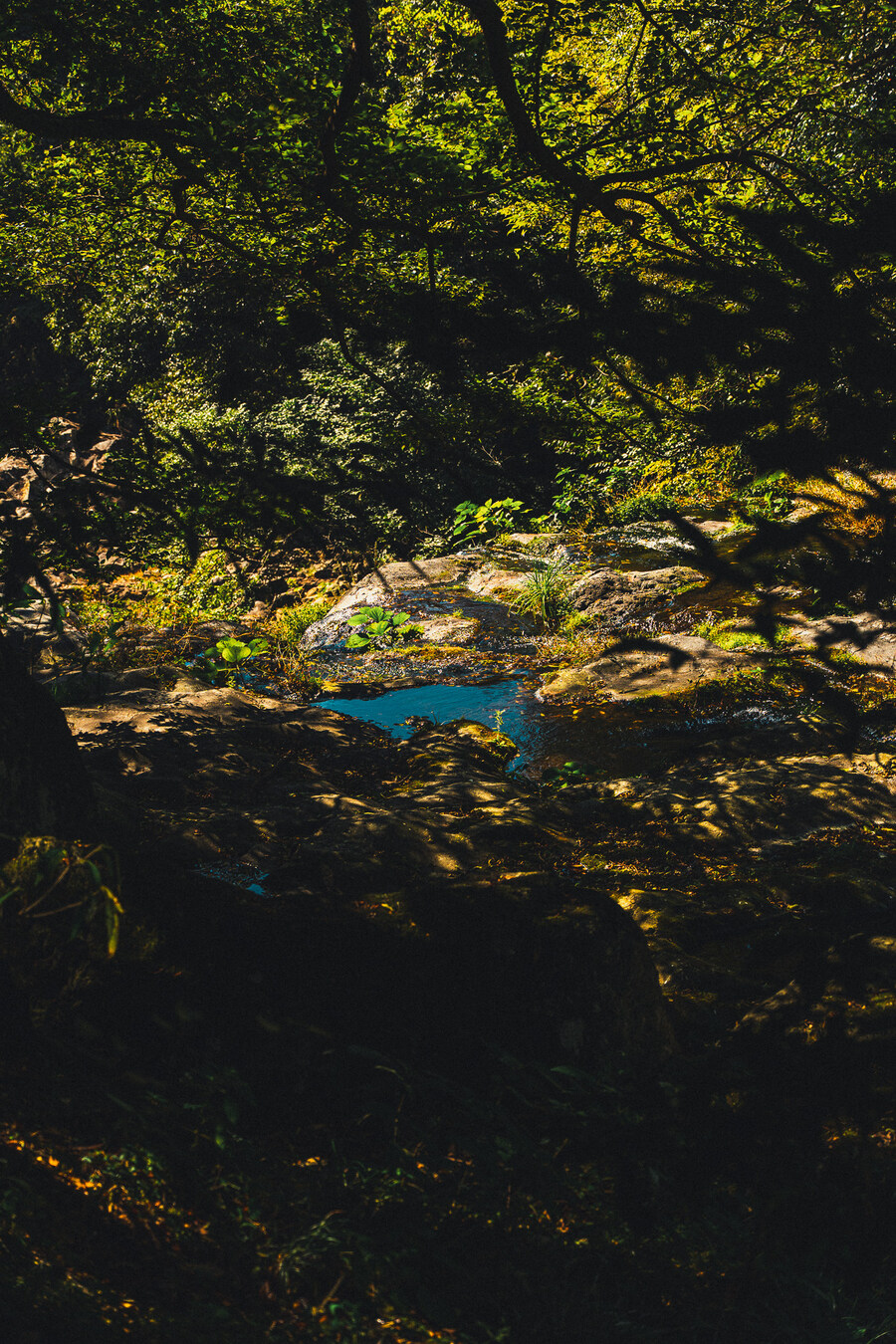 (스압)제주도 댕겨왓습니당_87.jpg