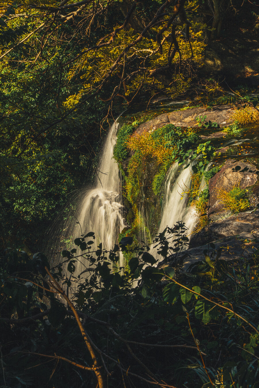 (스압)제주도 댕겨왓습니당_88.jpg