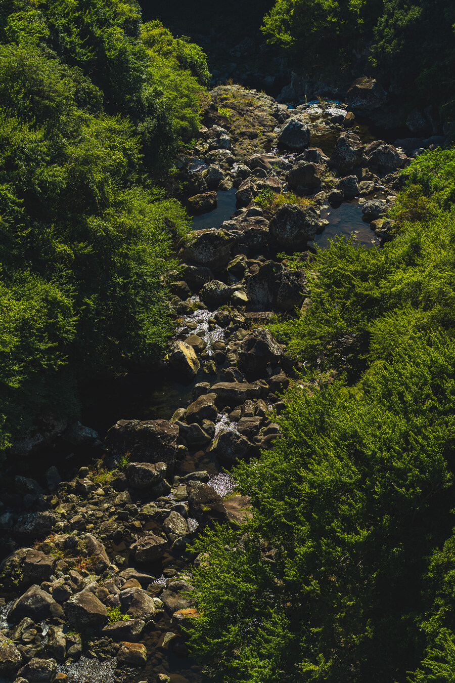 (스압)제주도 댕겨왓습니당_96.jpg