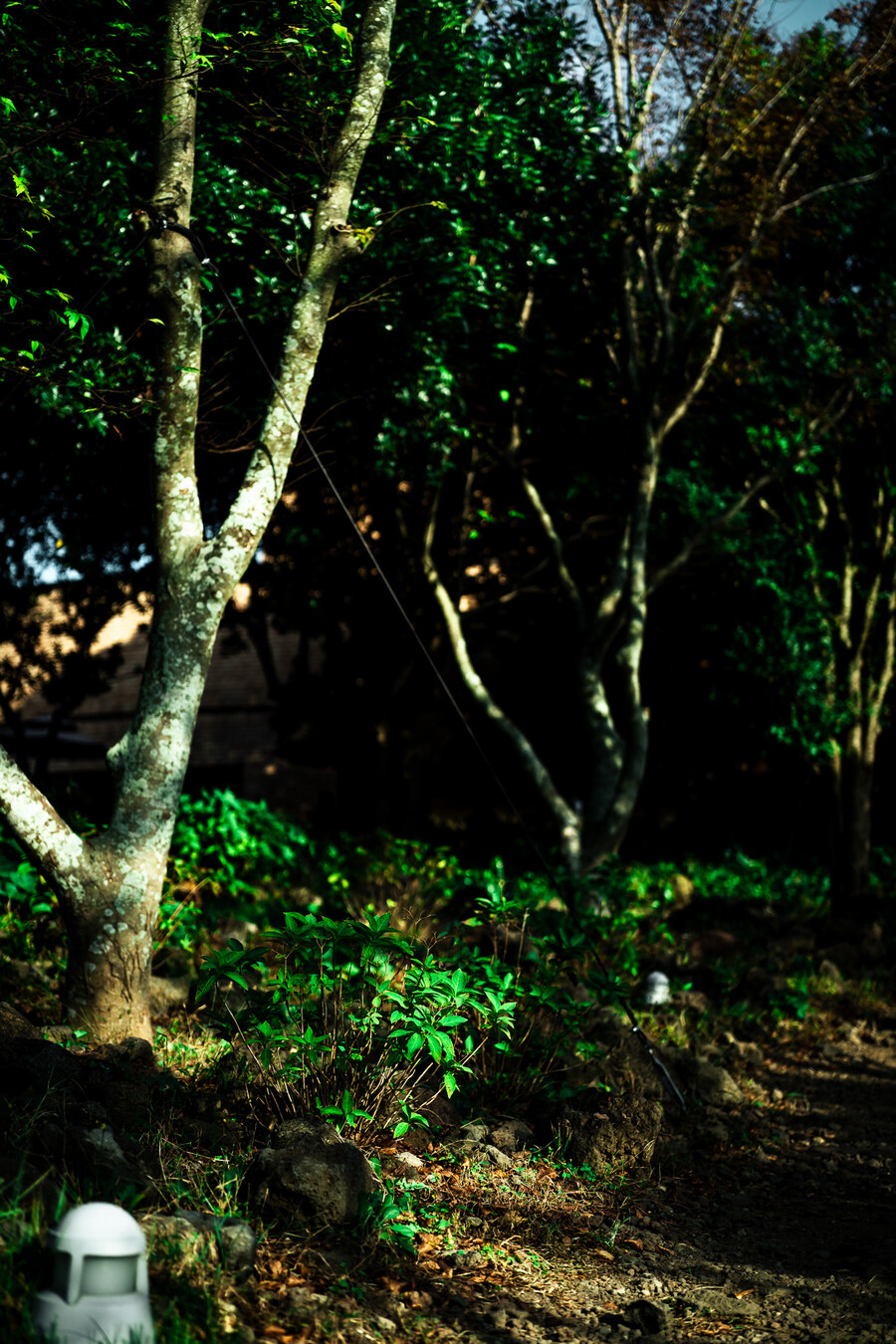 (스압)제주도 댕겨왓습니당_107.jpg