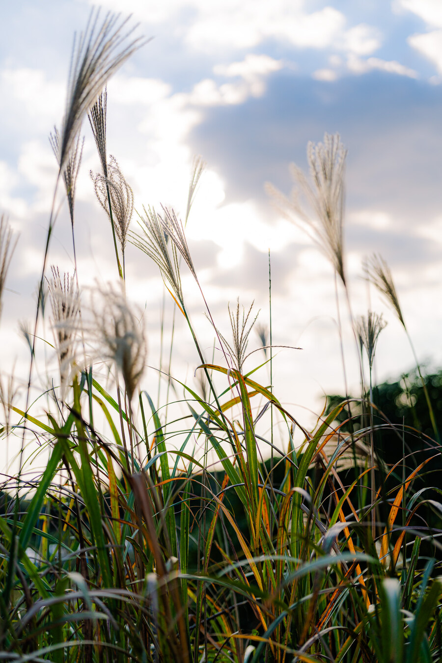 (스압)제주도 댕겨왓습니당_110.jpg