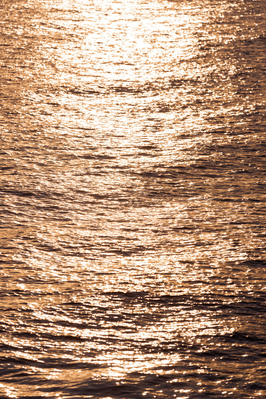 (스압)제주도 댕겨왓습니당_115.jpg