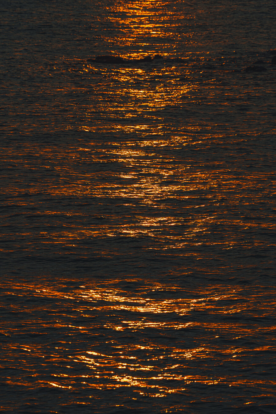 (스압)제주도 댕겨왓습니당_122.jpg