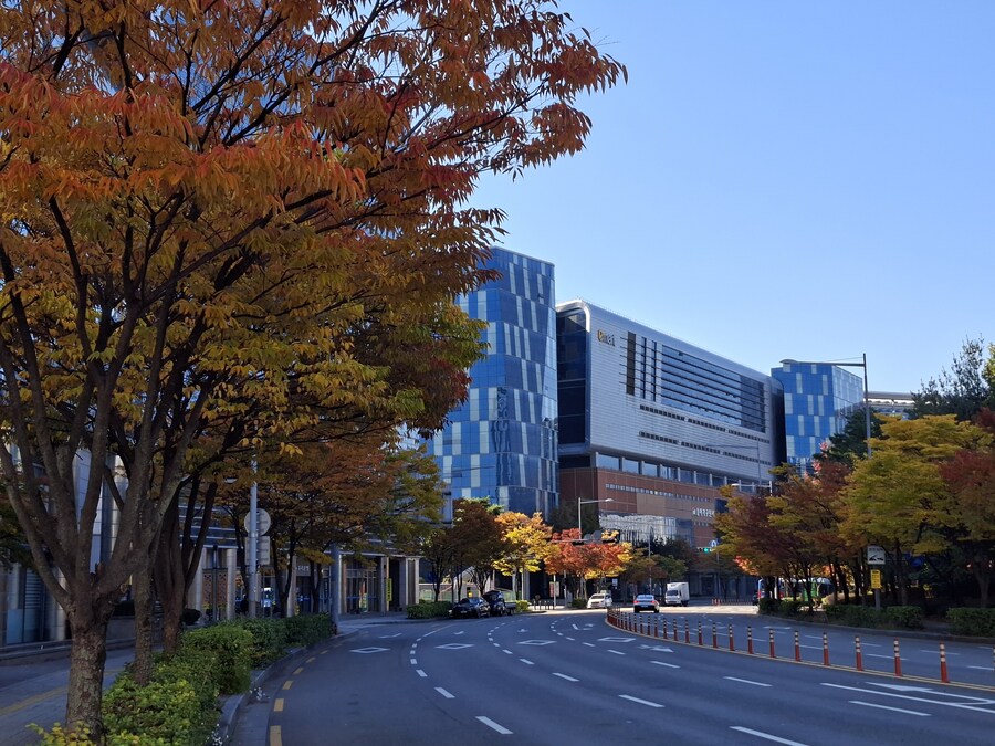 멍청하면 용감해짐..._2.jpg