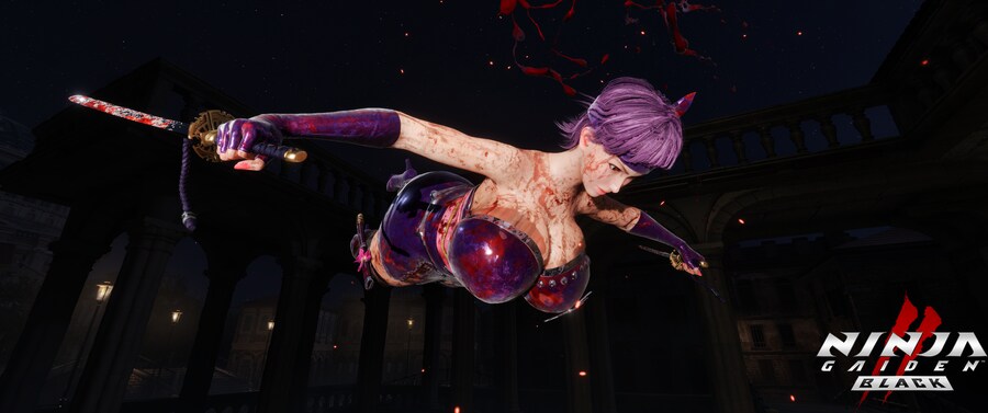 닌자 가이덴2 블랙.jpg_8.png