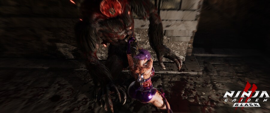 닌자 가이덴2 블랙.jpg_17.png
