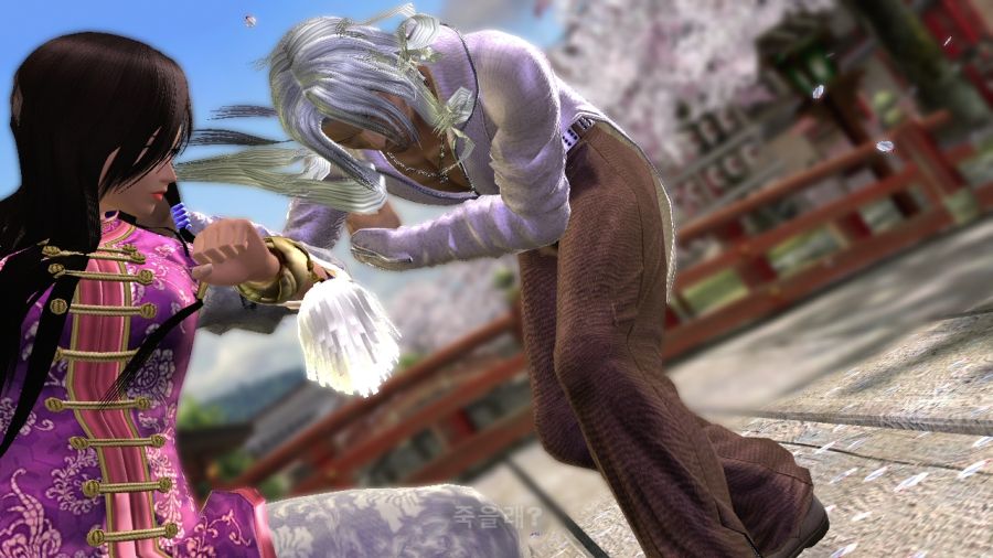 DEAD OR ALIVE 4_4.jpg