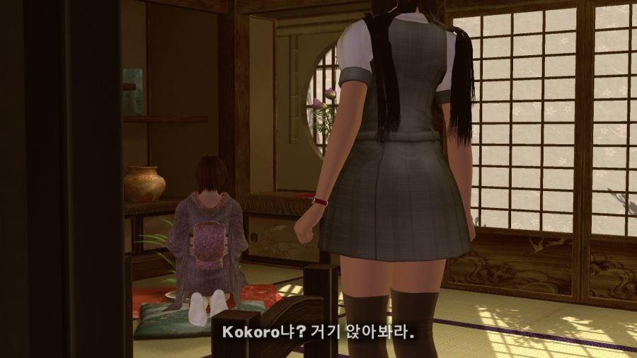 DEAD OR ALIVE 4_12.jpg