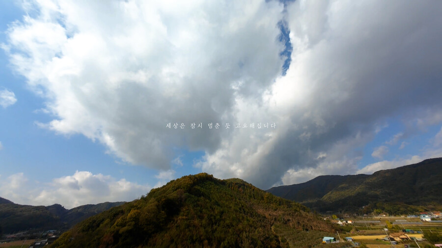 [실시간 단풍] 11월 2일 문광저수지, 은행나무 황금빛 절정 바로 직전!_10.jpg