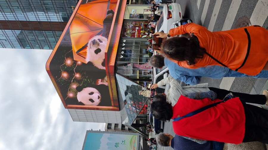 성도(청두)에서 팬더보고 왔습니다._1.jpg