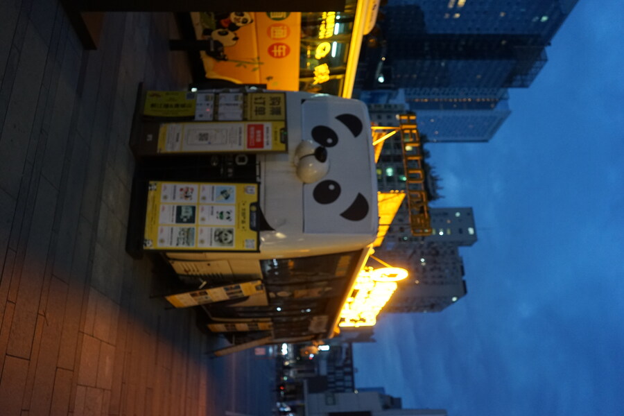 성도(청두)에서 팬더보고 왔습니다._4.jpg