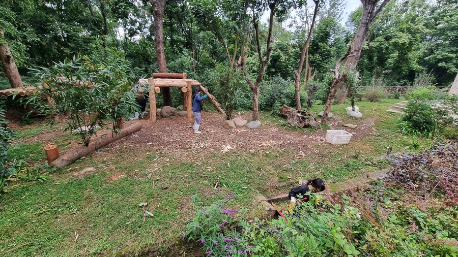 성도(청두)에서 팬더보고 왔습니다._12.jpg