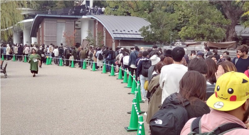 성도(청두)에서 팬더보고 왔습니다._45.png