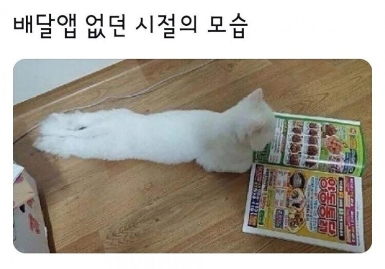 배달앱 없던 시절의 모습_1.jpg