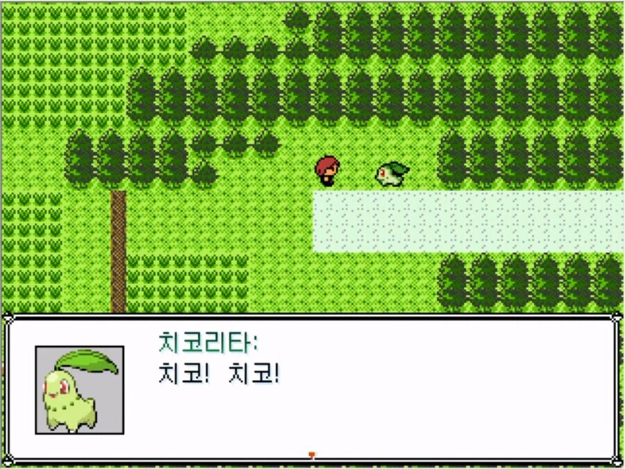 몬스터 볼을 잘 못 훔쳐버린 실버 甲.jpg_6.jpg