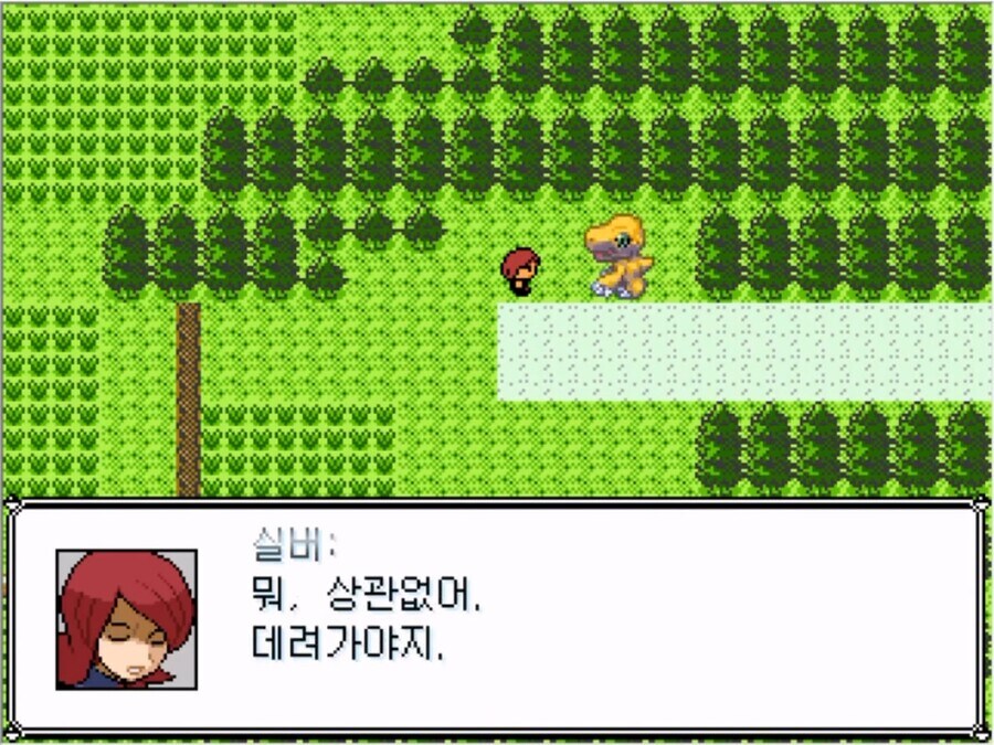 몬스터 볼을 잘 못 훔쳐버린 실버 甲.jpg_13.jpg