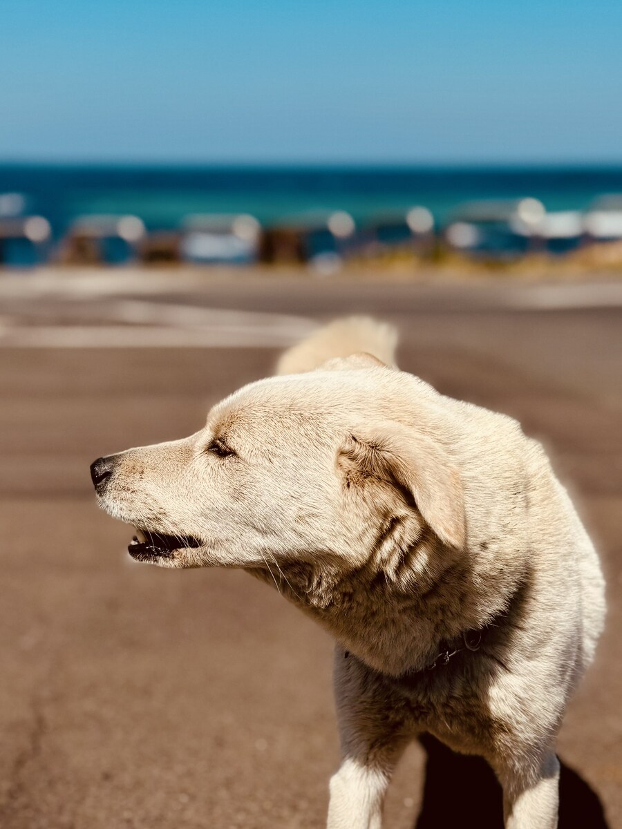 길을 걷다 만나는 작은 친구들_5.jpg