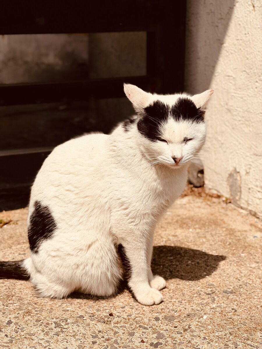 길을 걷다 만나는 작은 친구들_4.jpg