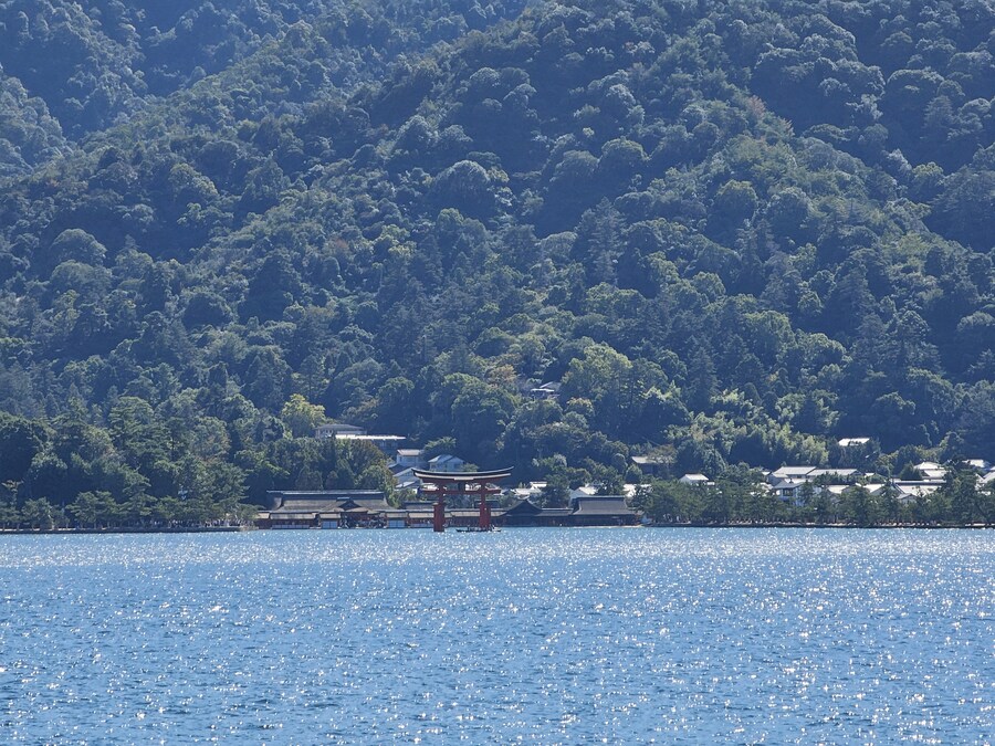 만성소화불량자의 8박9일 히로시마 여행 2일차 (미야지마)_7.jpg