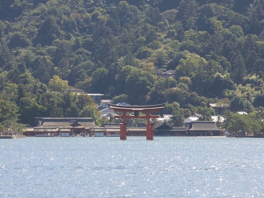 만성소화불량자의 8박9일 히로시마 여행 2일차 (미야지마)_11.jpg