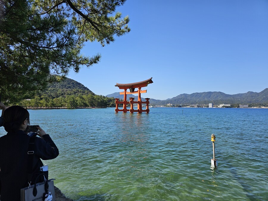 만성소화불량자의 8박9일 히로시마 여행 2일차 (미야지마)_20.jpg