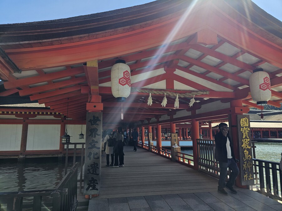 만성소화불량자의 8박9일 히로시마 여행 2일차 (미야지마)_23.jpg