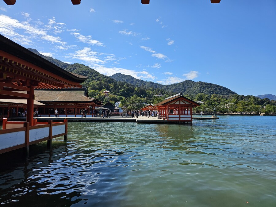 만성소화불량자의 8박9일 히로시마 여행 2일차 (미야지마)_25.jpg