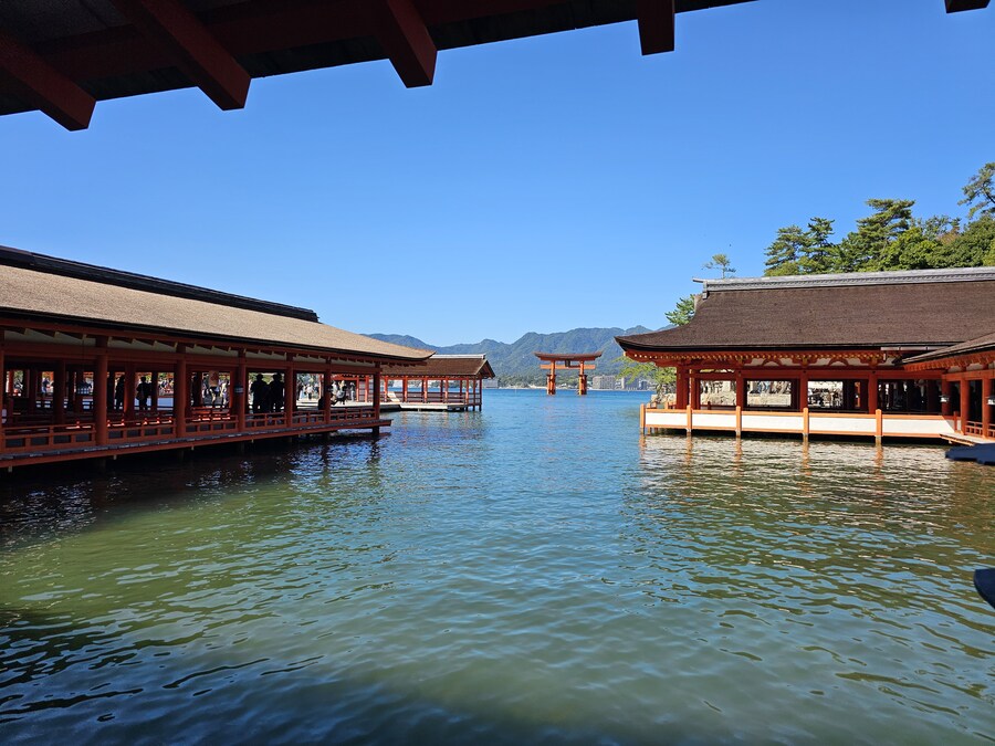 만성소화불량자의 8박9일 히로시마 여행 2일차 (미야지마)_29.jpg