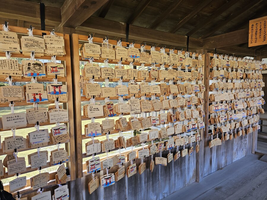 만성소화불량자의 8박9일 히로시마 여행 2일차 (미야지마)_41.jpg