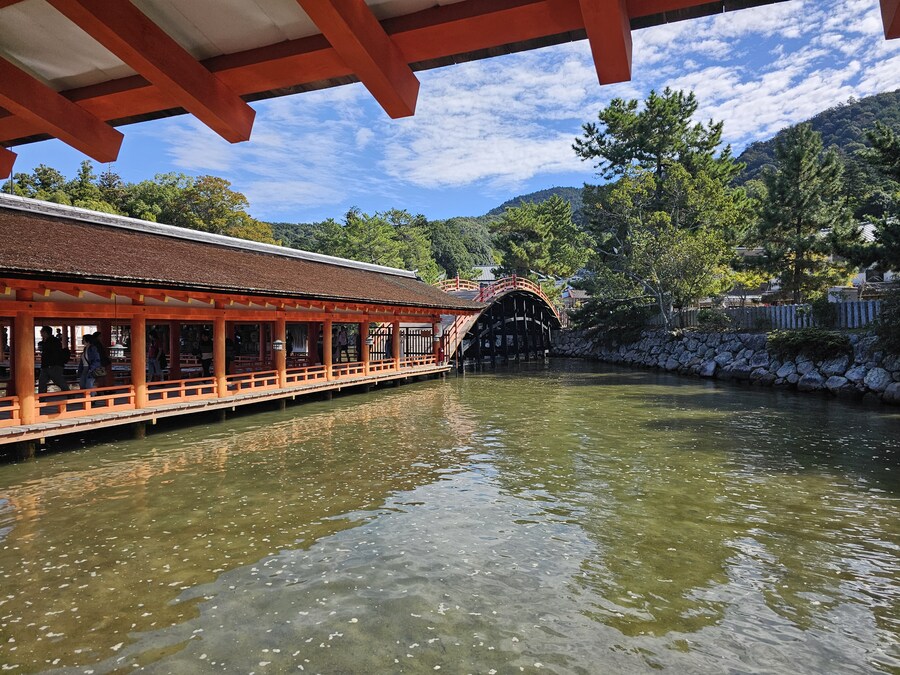 만성소화불량자의 8박9일 히로시마 여행 2일차 (미야지마)_46.jpg