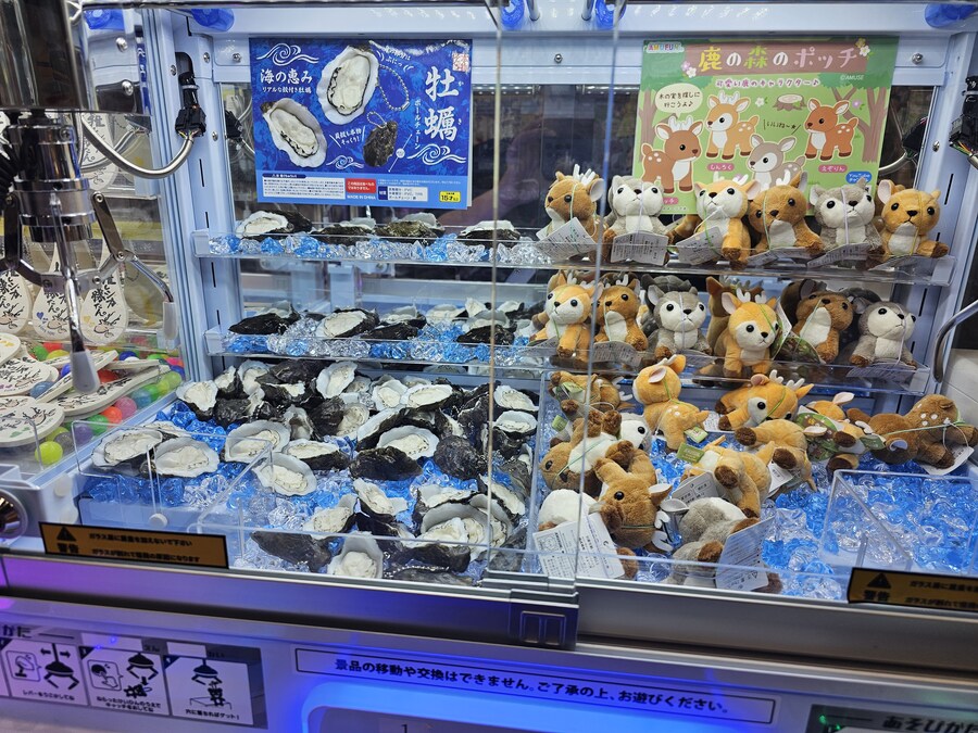 만성소화불량자의 8박9일 히로시마 여행 2일차 (미야지마)_62.jpg