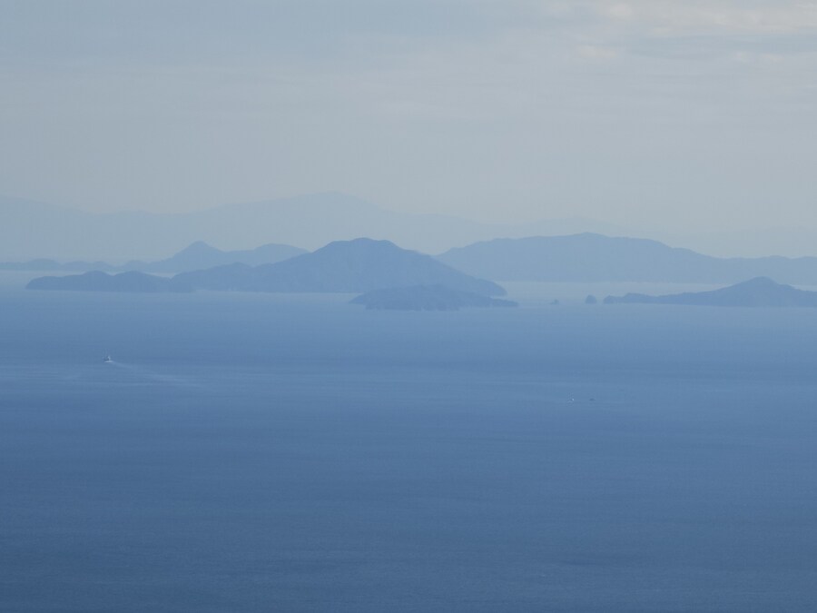 만성소화불량자의 8박9일 히로시마 여행 2일차 (미야지마)_87.jpg