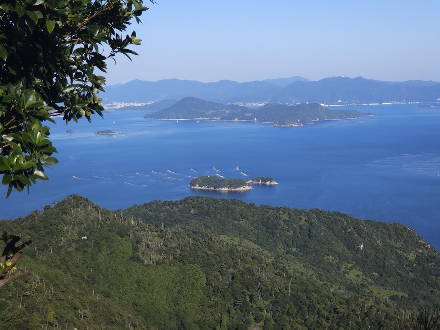 만성소화불량자의 8박9일 히로시마 여행 2일차 (미야지마)_90.jpg