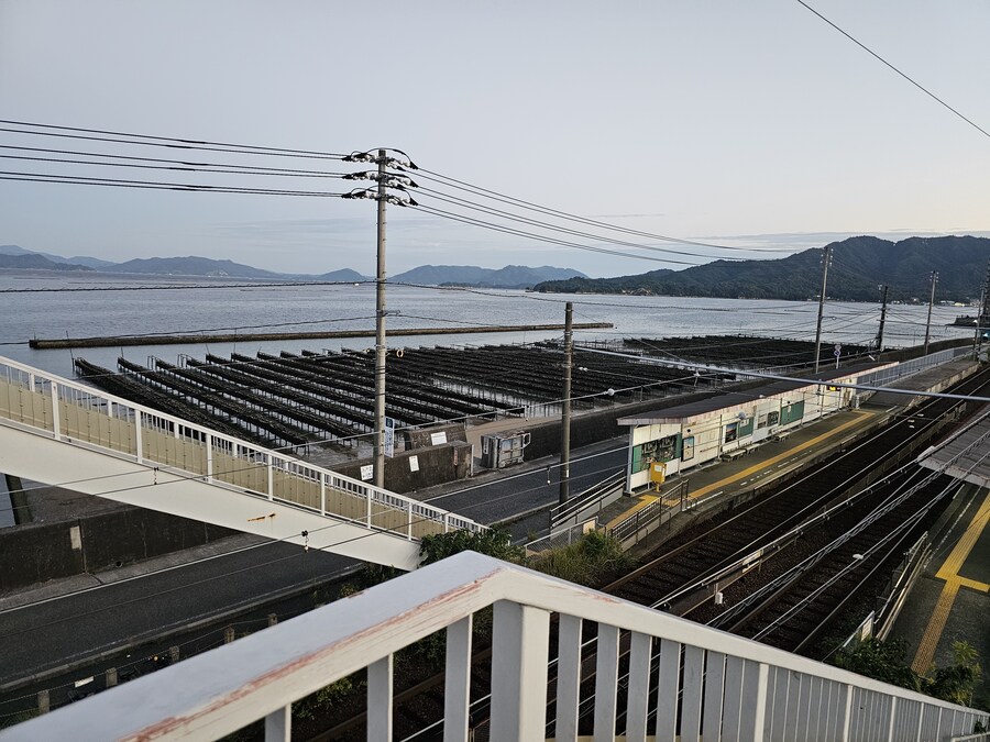 만성소화불량자의 8박9일 히로시마 여행 2일차 (미야지마)_122.jpg