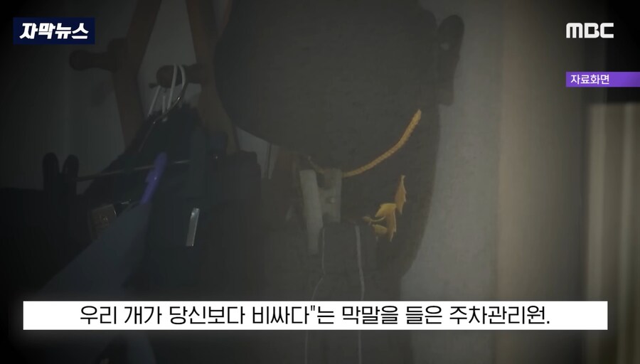 우리집 개가 당신보다 비싸다_5.jpg