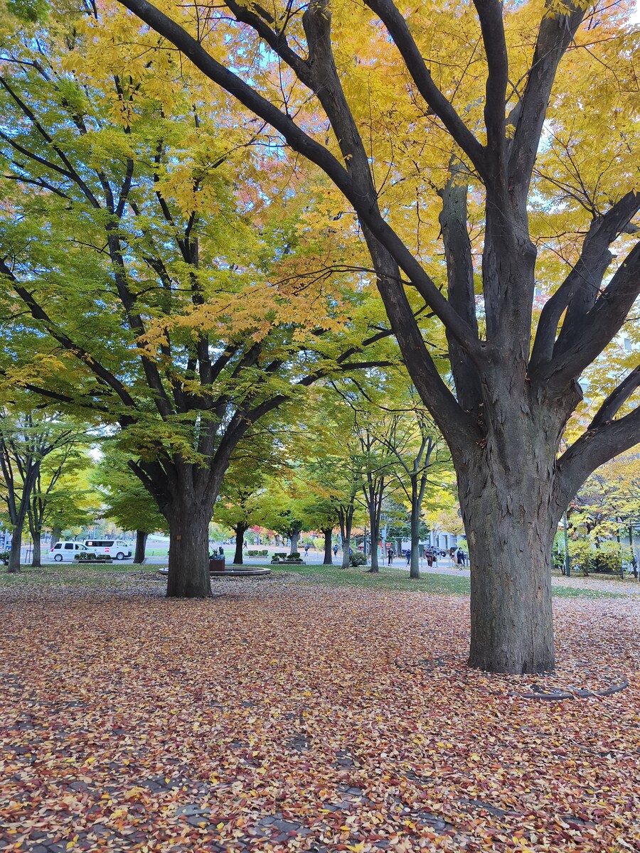 삿포르 여행 4_13.jpg