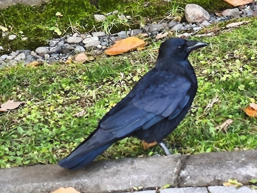 삿포르 여행 4_21.jpg