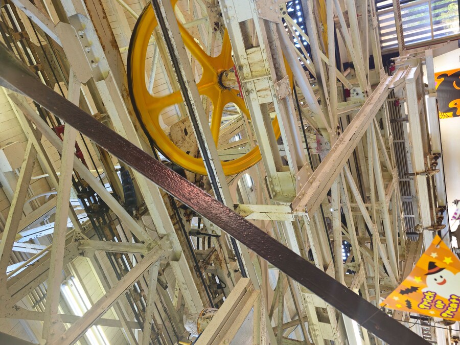 만성소화불량자의 8박9일 히로시마 여행 2일차 (미야지마)_76.jpg