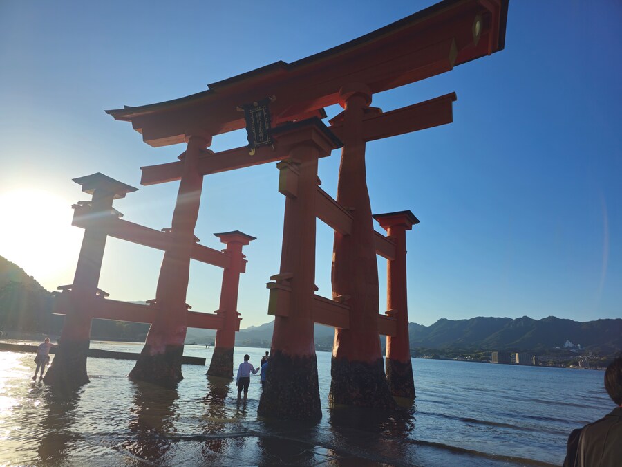 만성소화불량자의 8박9일 히로시마 여행 2일차 (미야지마)_104.jpg