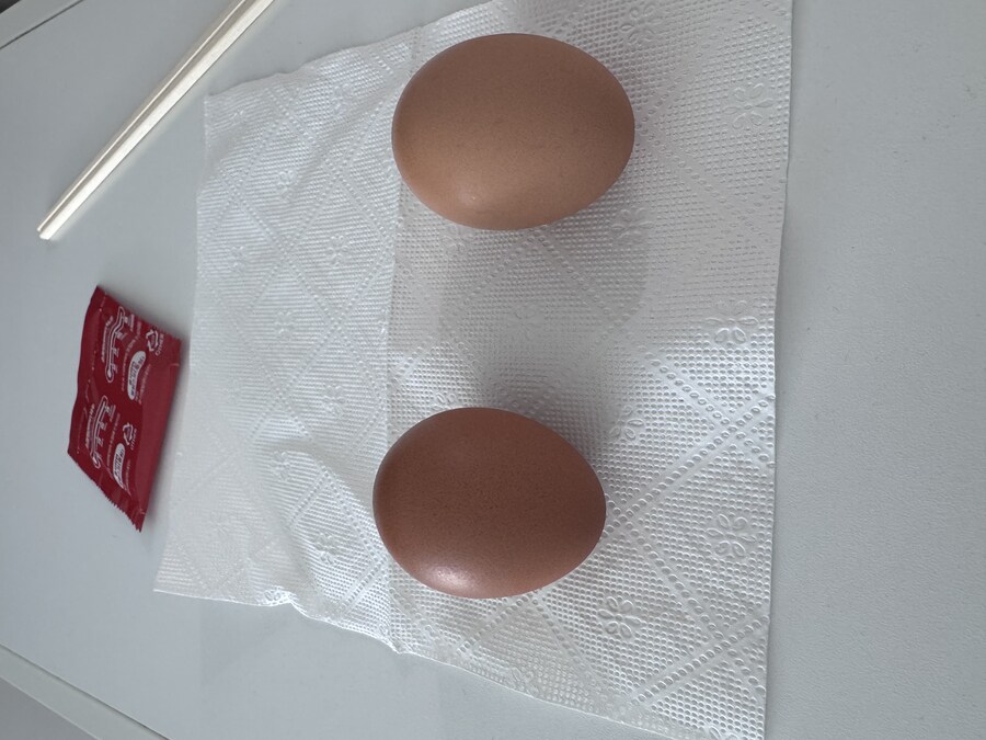 용사라면 - 노약자 금지_2.jpg