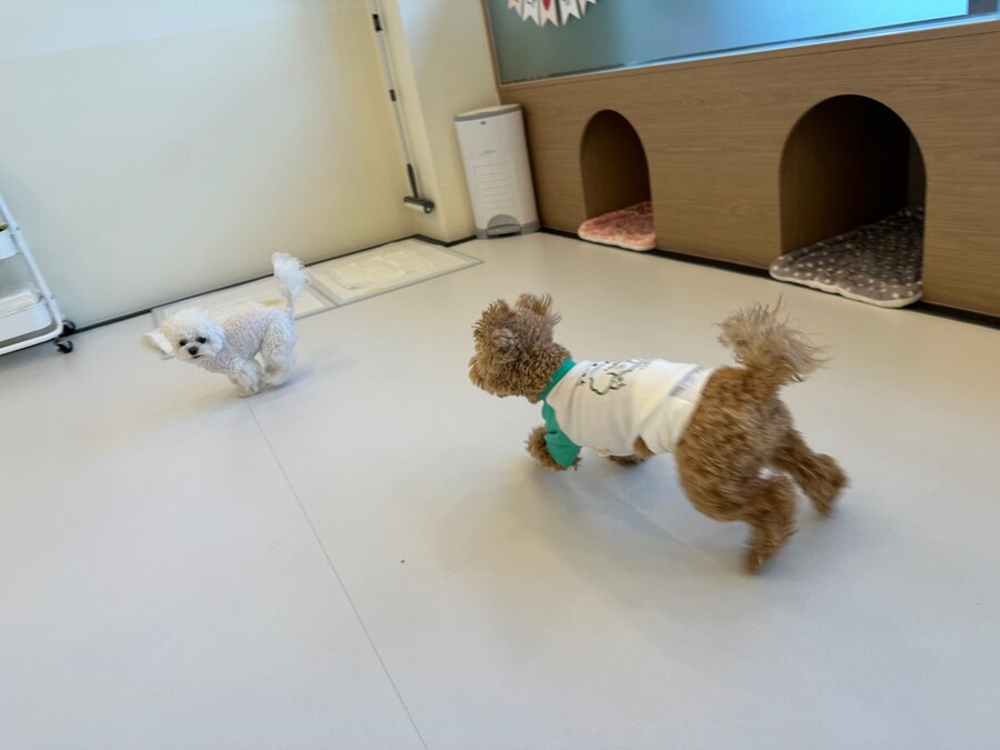 벌써 1년~~_10.jpg